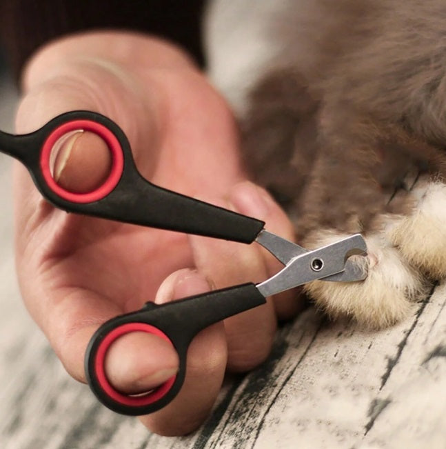 Augintinių nagų žirklutės