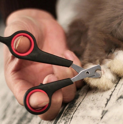 Augintinių nagų žirklutės