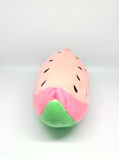 Augintinių žaislas arbūzas