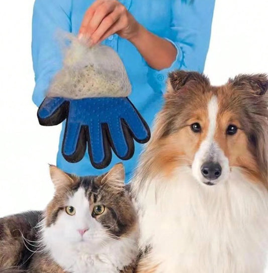 Augintinių šukos pirštinė