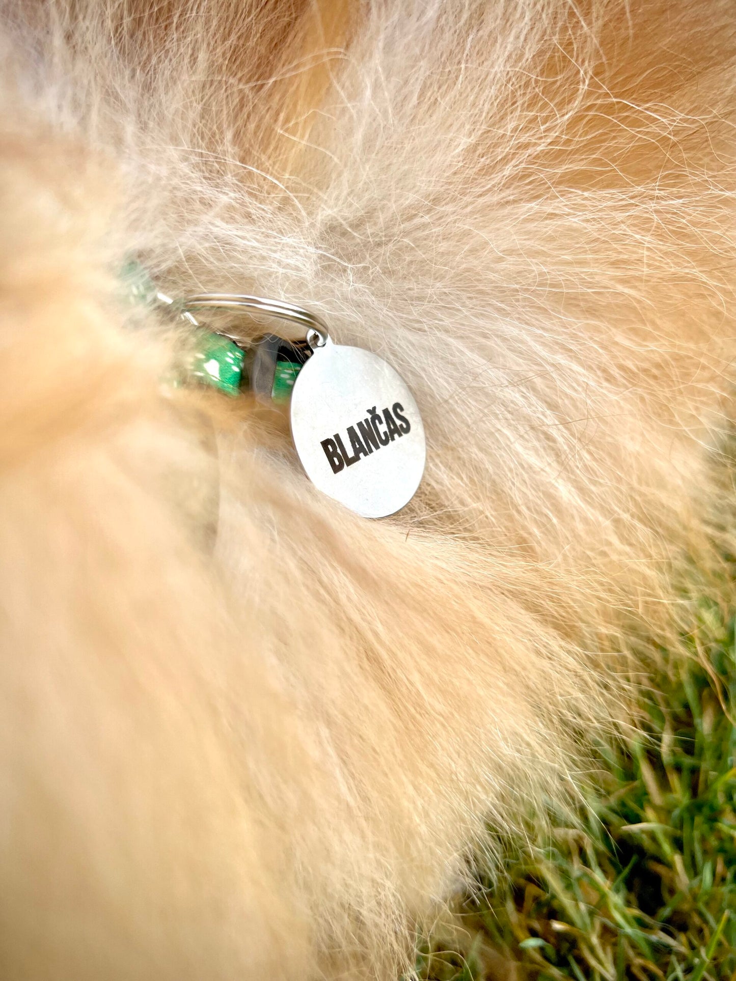 Pakabukas šunims ir katėms su graviruotu vardu