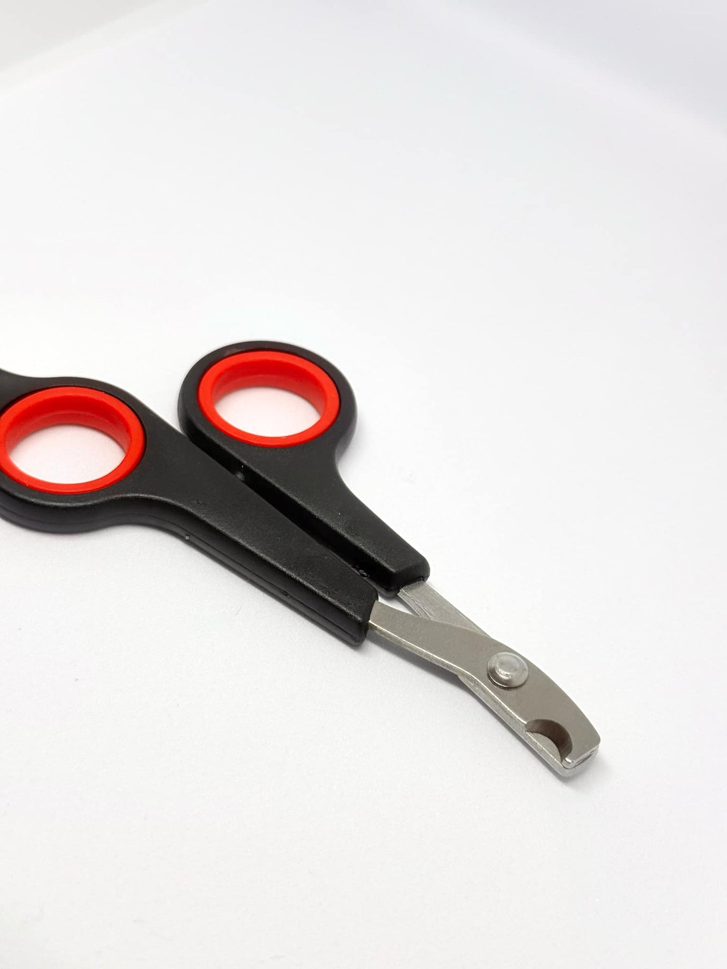 Augintinių nagų žirklutės